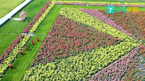 花圃种植