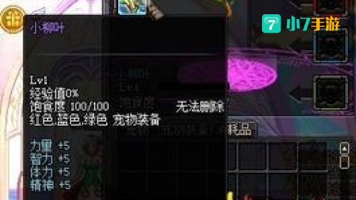 dnf最新宠物