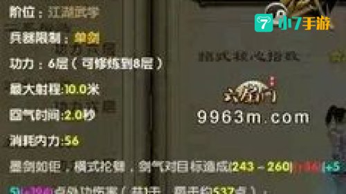 99武学